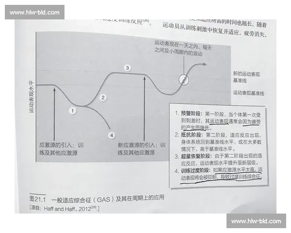 以训练周期为核心科学规划运动计划提升身体素质与恢复效率