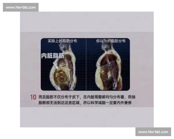 科学高效减脂训练全攻略助你塑造健康匀称身材 科学高效减脂训练全攻略助你塑造健康匀称身材