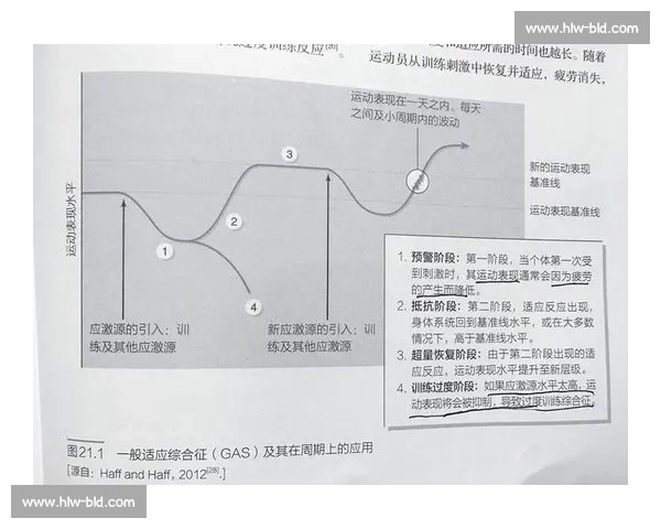 体育科学模型在运动表现优化与训练效果评估中的应用研究 体育科学模型在运动表现优化与训练效果评估中的应用研究